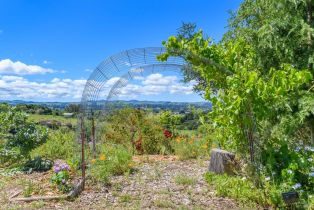 Single Family Residence,  Frances way, Petaluma, CA 94954 - 64