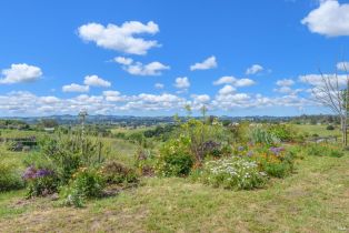 Single Family Residence,  Frances way, Petaluma, CA 94954 - 44