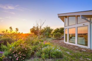 Single Family Residence,  Frances way, Petaluma, CA 94954 - 62