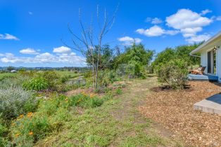 Single Family Residence,  Frances way, Petaluma, CA 94954 - 65