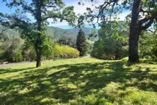 Residential Lot,  Ridgecrest drive, Napa, CA 94558 - 5