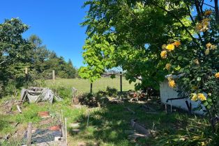 Single Family Residence, Eucalyptus road, Petaluma, CA 94952 - 28