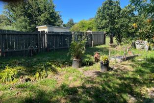 Single Family Residence, Eucalyptus road, Petaluma, CA 94952 - 27