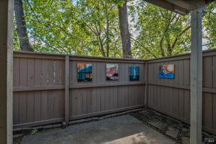 Condominium, Stony Point road, Santa Rosa, CA 95401 - 23