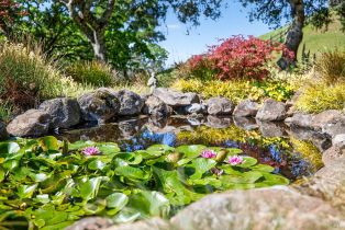 Single Family Residence,  Singing Hills trail, Santa Rosa, CA 95404 - 21