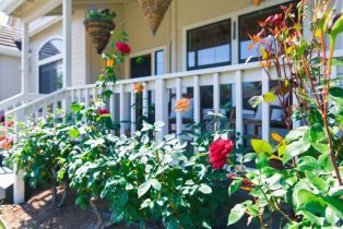 Single Family Residence,  Madrid way, Sonoma, CA 95476 - 5