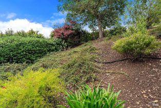 Single Family Residence, Meadowstone drive, Santa Rosa, CA 95409 - 7