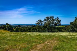 Residential Acreage,  Foster road, Napa, CA 94558 - 10