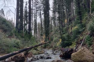 Residential Acreage,  St Helena road, Santa Rosa, CA 95404 - 23