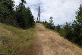 Residential Acreage,  St Helena road, Santa Rosa, CA 95404 - 11