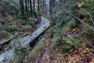 Residential Acreage,  St Helena road, Santa Rosa, CA 95404 - 22