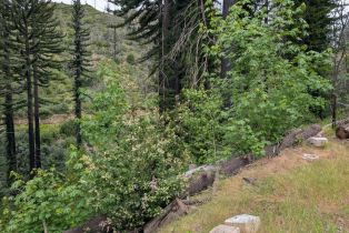 Residential Acreage,  St Helena road, Santa Rosa, CA 95404 - 20