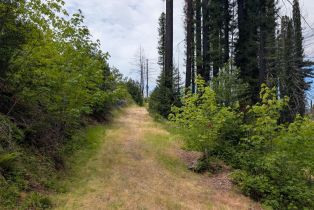 Residential Acreage,  St Helena road, Santa Rosa, CA 95404 - 6