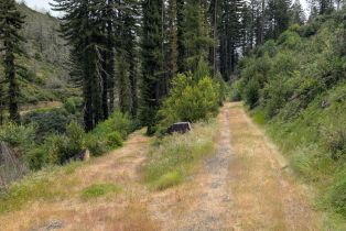 Residential Acreage,  St Helena road, Santa Rosa, CA 95404 - 10