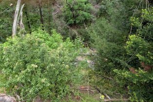 Residential Acreage,  St Helena road, Santa Rosa, CA 95404 - 14