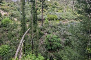 Residential Acreage,  St Helena road, Santa Rosa, CA 95404 - 13