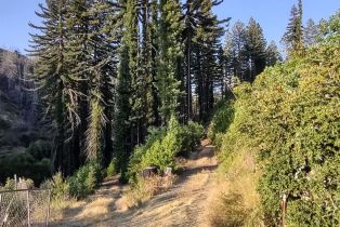 Residential Acreage,  St Helena road, Santa Rosa, CA 95404 - 24