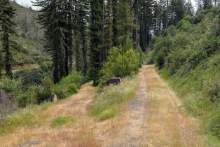 Residential Acreage,  St Helena road, Santa Rosa, CA 95404 - 9