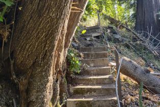 Residential Acreage,  St Helena road, Santa Rosa, CA 95404 - 26