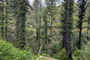 Residential Acreage,  St Helena road, Santa Rosa, CA 95404 - 17