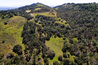 Residential Acreage,  Wild Horse Valley road, Napa, CA 94558 - 5