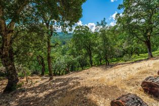 Residential Lot,  Sorrell court, Napa, CA 94558 - 8