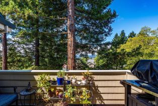 Condominium,  Stonefield lane, Santa Rosa, CA 95403 - 19