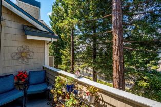 Condominium,  Stonefield lane, Santa Rosa, CA 95403 - 33