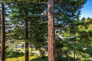 Condominium,  Stonefield lane, Santa Rosa, CA 95403 - 34