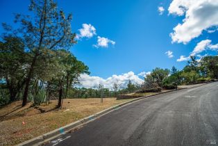 Residential Lot,  Eastridge drive, Napa, CA 94558 - 10