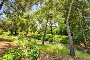 Single Family Residence,  Meadowridge court, Santa Rosa, CA 95409 - 46