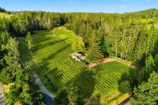 Single Family Residence,  Cold Springs road, Angwin, CA 94508 - 2