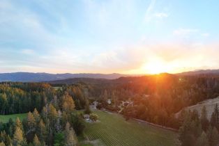 Single Family Residence,  Cold Springs road, Angwin, CA 94508 - 54