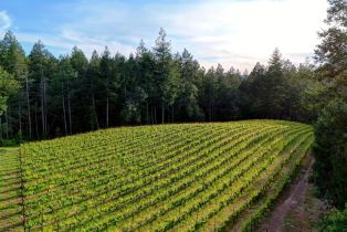 Single Family Residence,  Cold Springs road, Angwin, CA 94508 - 5