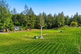 Single Family Residence,  Cold Springs road, Angwin, CA 94508 - 4