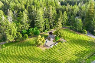 Single Family Residence,  Cold Springs road, Angwin, CA 94508 - 6