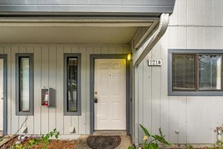 Condominium,  Elbridge avenue, Cloverdale, CA 95425 - 6