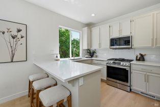 Single Family Residence, Raters drive, Santa Rosa, CA 95409 - 6