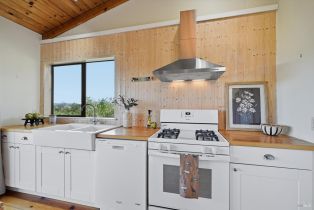 Single Family Residence,  Dry Creek road, Healdsburg, CA 95448 - 41