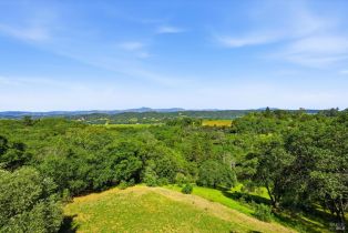 Single Family Residence,  Dry Creek road, Healdsburg, CA 95448 - 50