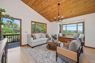 Single Family Residence,  Dry Creek road, Healdsburg, CA 95448 - 10