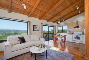 Single Family Residence,  Dry Creek road, Healdsburg, CA 95448 - 45