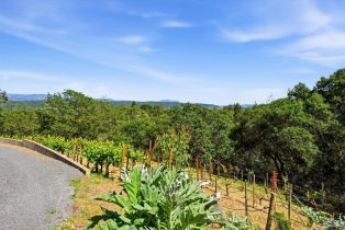 Single Family Residence,  Dry Creek road, Healdsburg, CA 95448 - 32