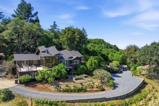 Single Family Residence,  Dry Creek road, Healdsburg, CA 95448 - 2