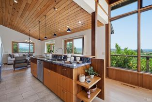 Single Family Residence,  Dry Creek road, Healdsburg, CA 95448 - 7