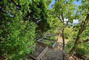 Single Family Residence,  Dry Creek road, Healdsburg, CA 95448 - 35