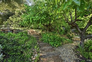 Single Family Residence,  Dry Creek road, Healdsburg, CA 95448 - 34