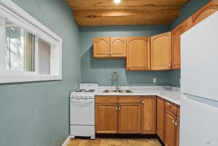 Single Family Residence,  Buena Vista lane, Russian River, CA 95436 - 5