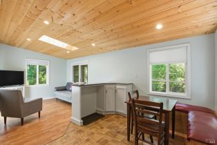 Single Family Residence,  Buena Vista lane, Russian River, CA 95436 - 9