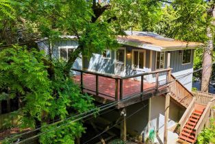 Single Family Residence,  Buena Vista lane, Russian River, CA 95436 - 2